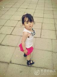 我的小卷毛,探寻毛茸茸的可爱魅力